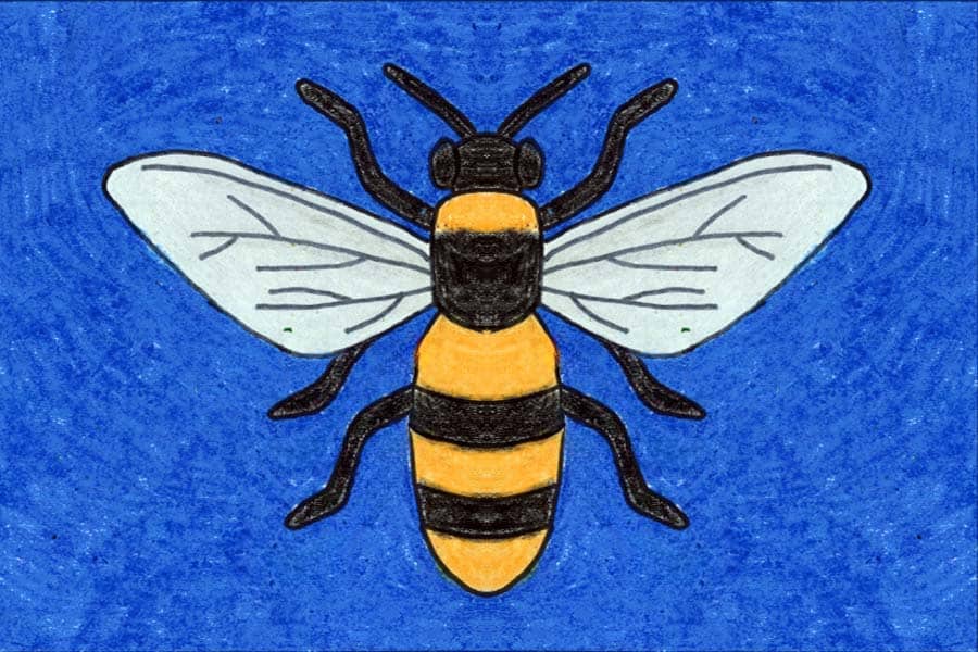 Easy How to Draw a Bee Tutorial and Bee Coloring Page