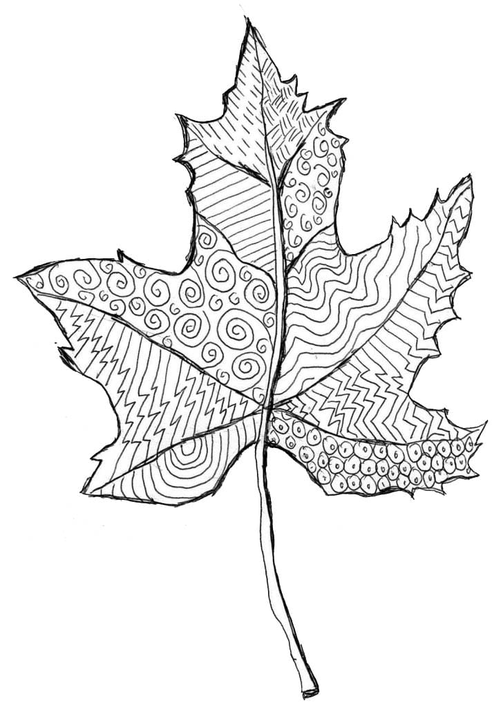 Easy Zentangle Leaf Art Project Tutorial Video and Leaf Coloring Page