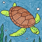 A drawing of a sea turtle, made with the help of an easy step by step tutorial. A fun animal drawing for kids project.